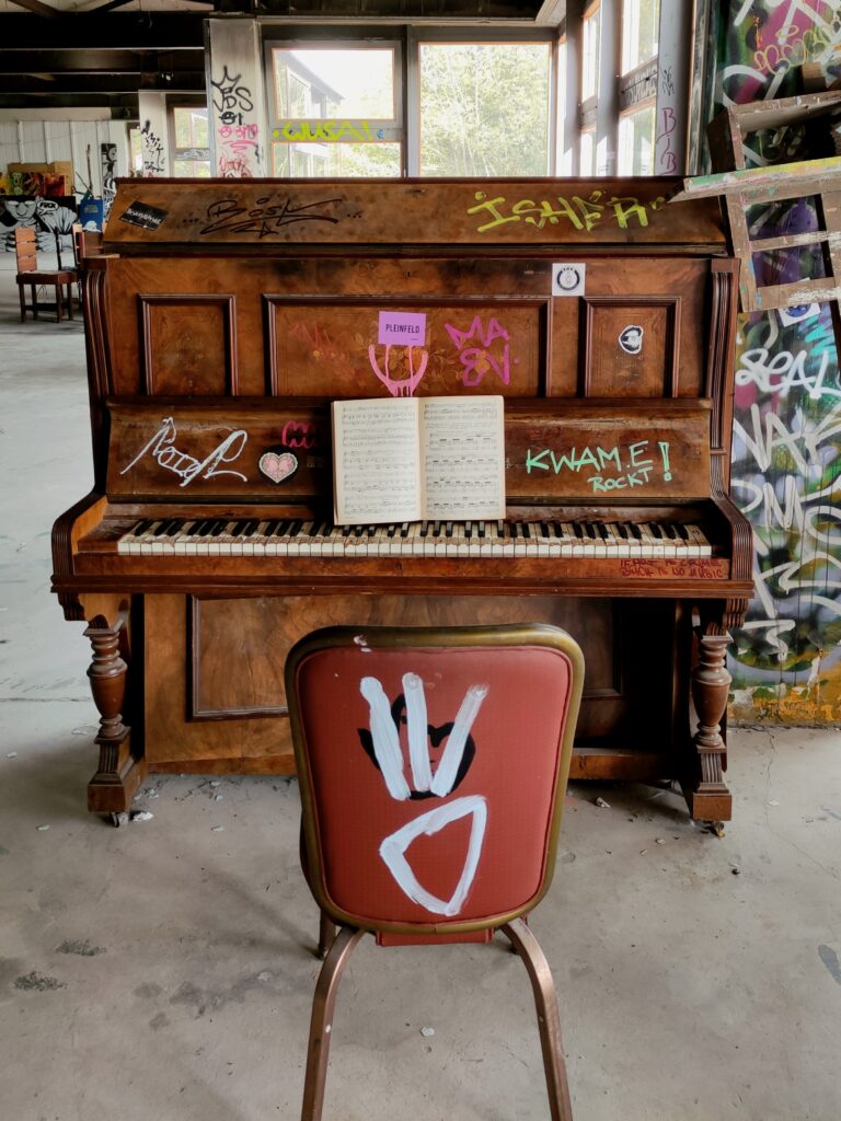 pianostemmer-rotterdam-8